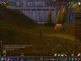 /album/world-of-warcraft-fotecky/wowscrnshot-041908-200744-jpg/