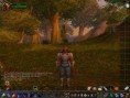 /album/world-of-warcraft-fotecky/wowscrnshot-041908-200759-jpg/