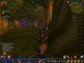 /album/world-of-warcraft-fotecky/wowscrnshot-042608-212021-jpg/